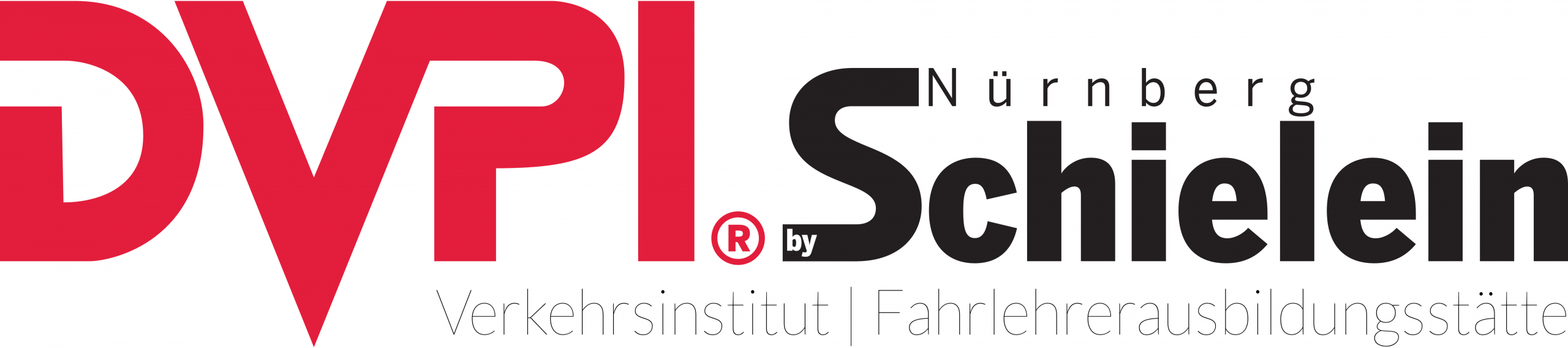 Verkehrsinstitut Schielein GmbH – Nürnberg Logo